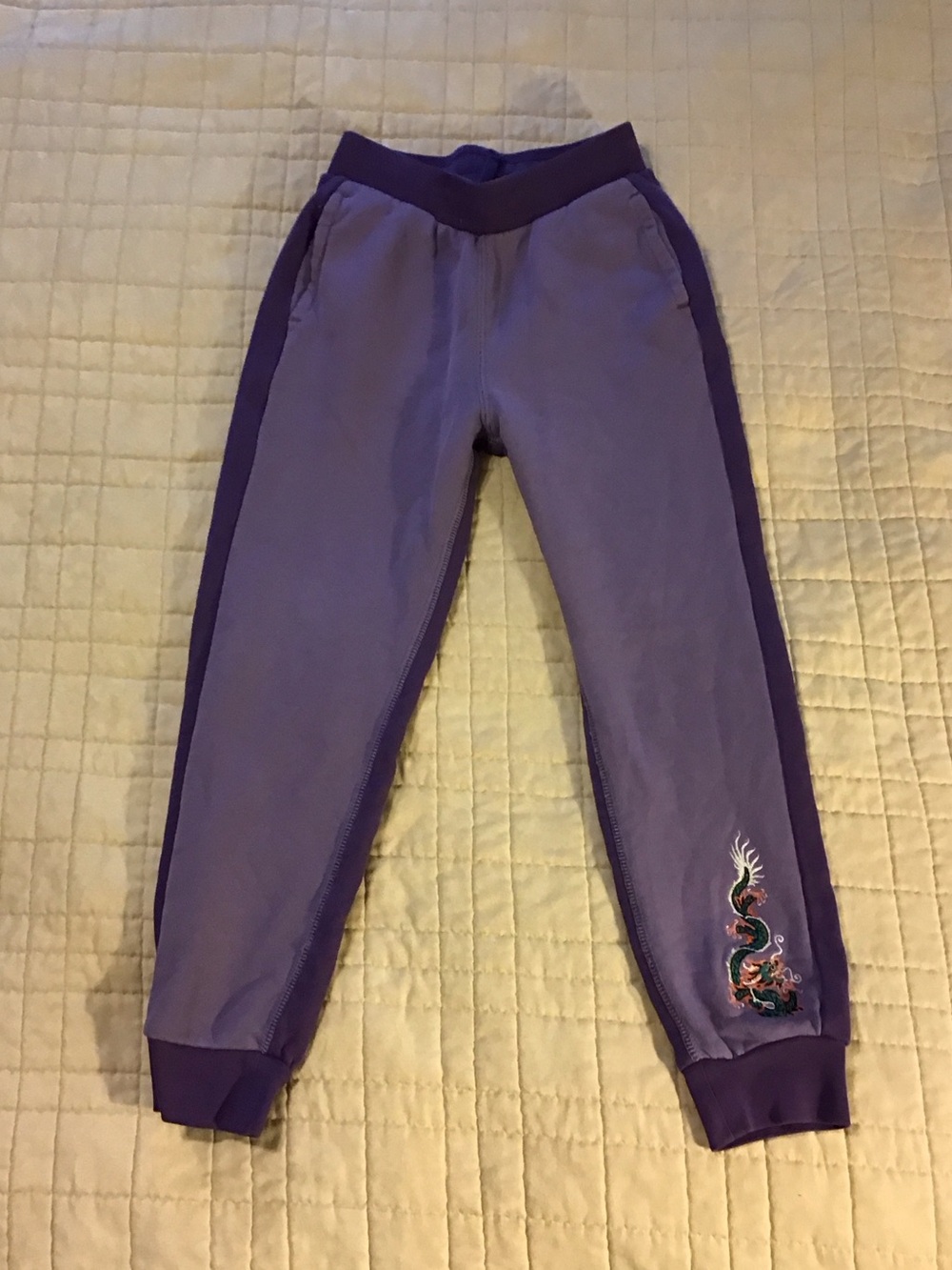 Kids Purple Dragon Embroidered Jogger Pants